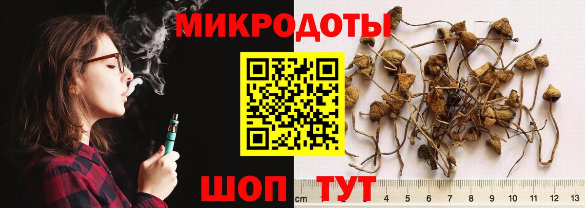 Галлюциногенные грибы Magic Shrooms Кимры